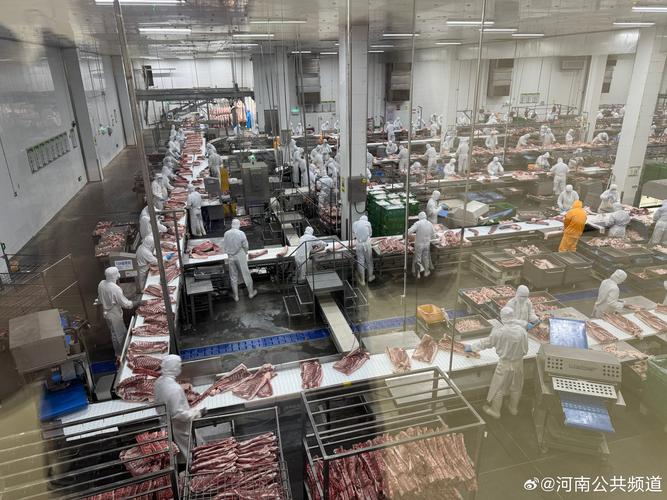 22市26县全面布局,规划年屠宰生猪产能达6300万头,目前已投产10大工厂